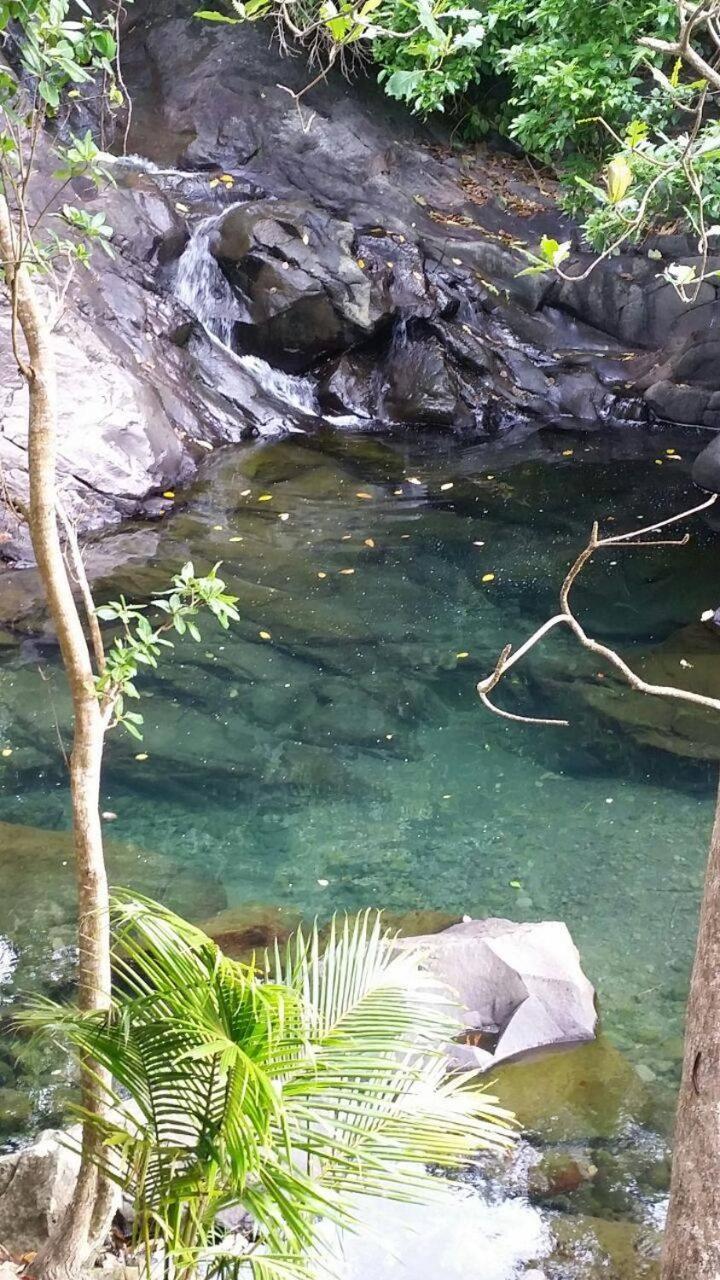 Awmony'Kaz, Gite A Trois-Rivieres Guadeloupe Exterior photo